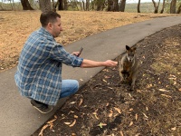 Два в одном.jpeg Два в одном.jpeg